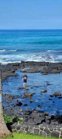 Tide pool right outside our condo.