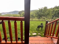 Our puppy had the time of her life! Front yard!