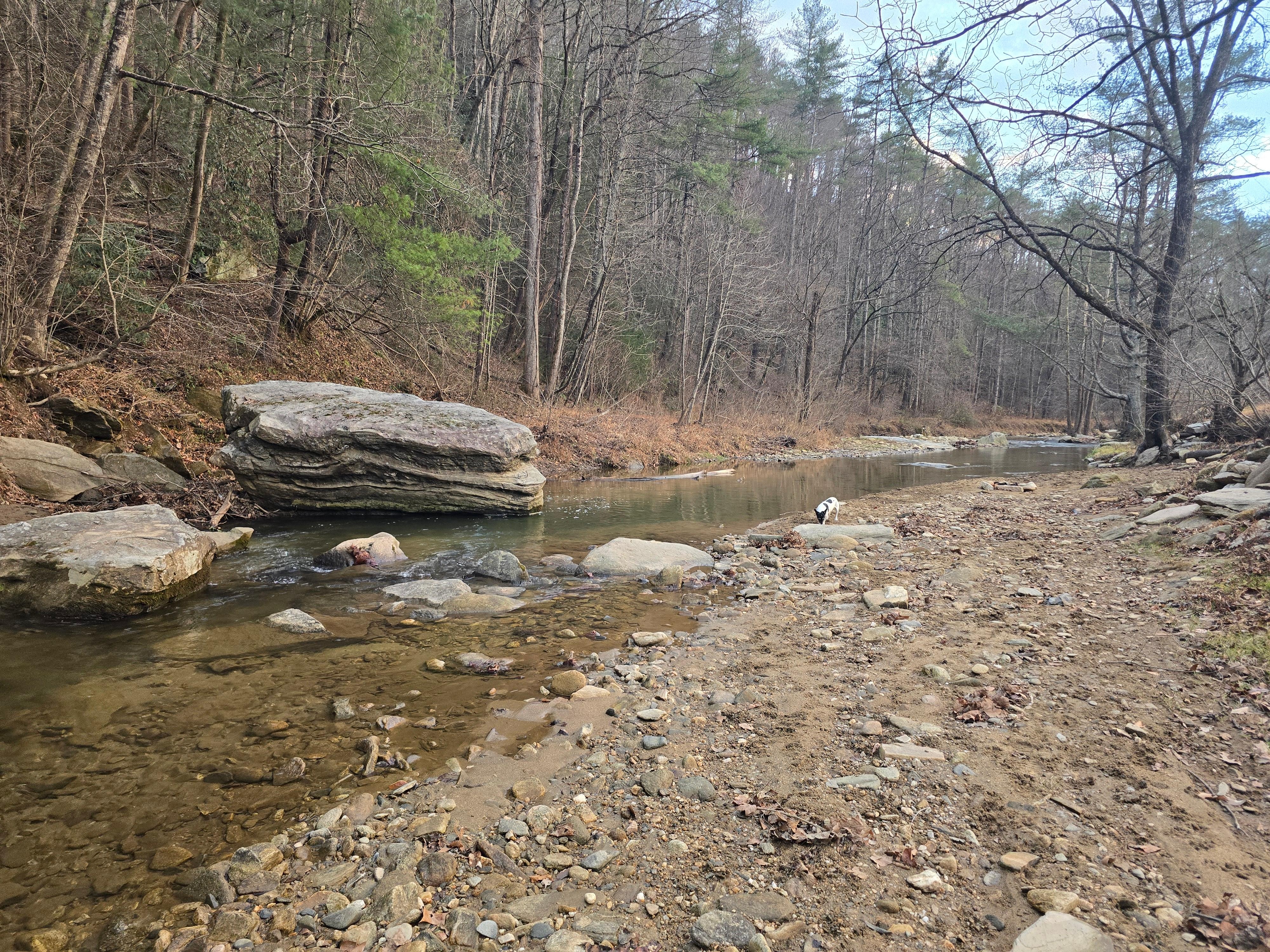 Walking along stream.