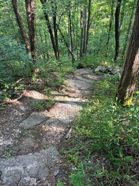 Our hike on IRH trail