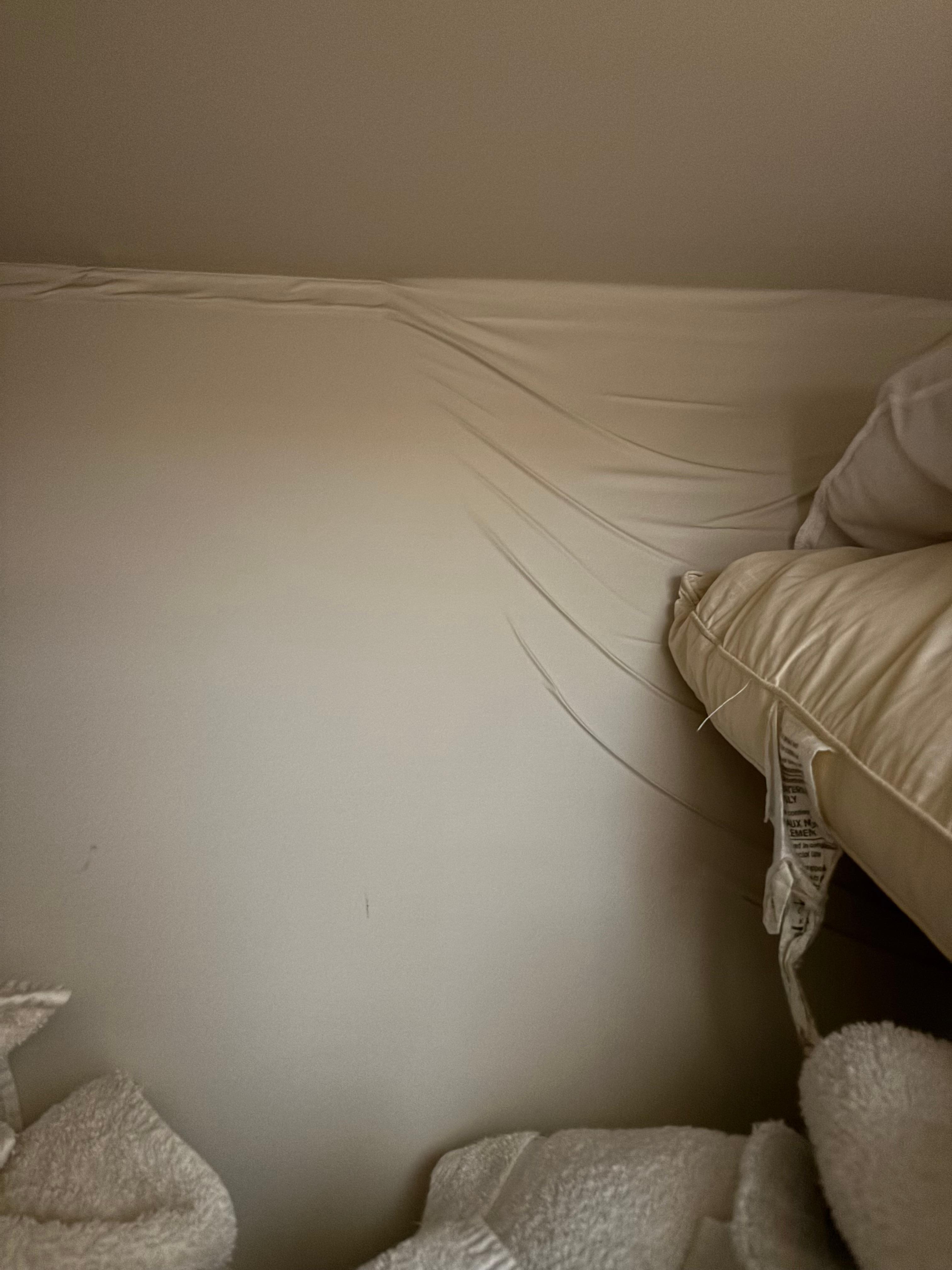 Wall in main floor bedroom, water damaged.