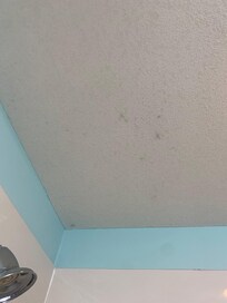 Mold above shower