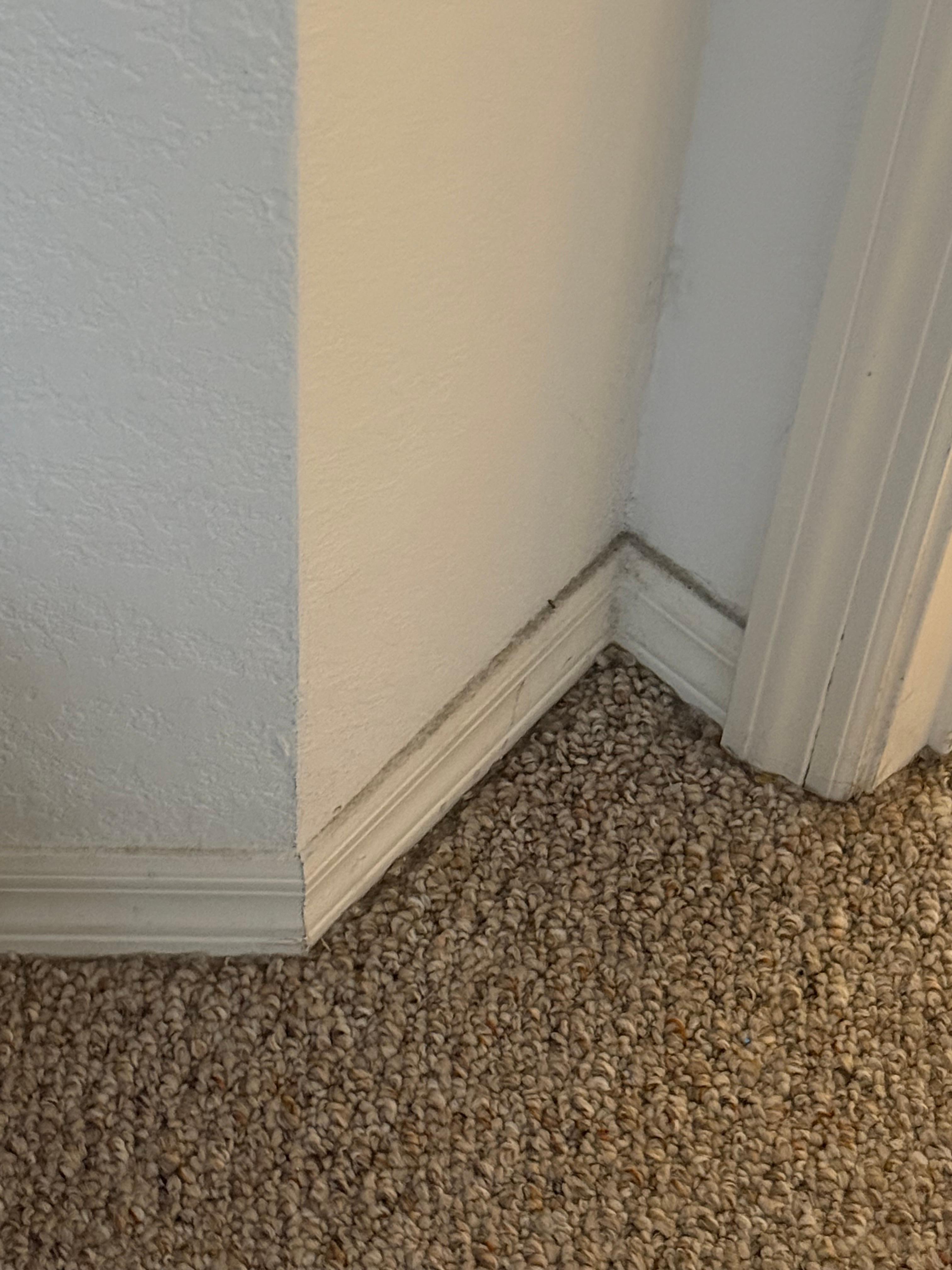 Base boards