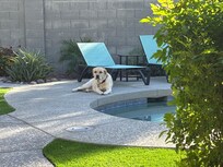 Lovely backyard gets Mileyâs approval.