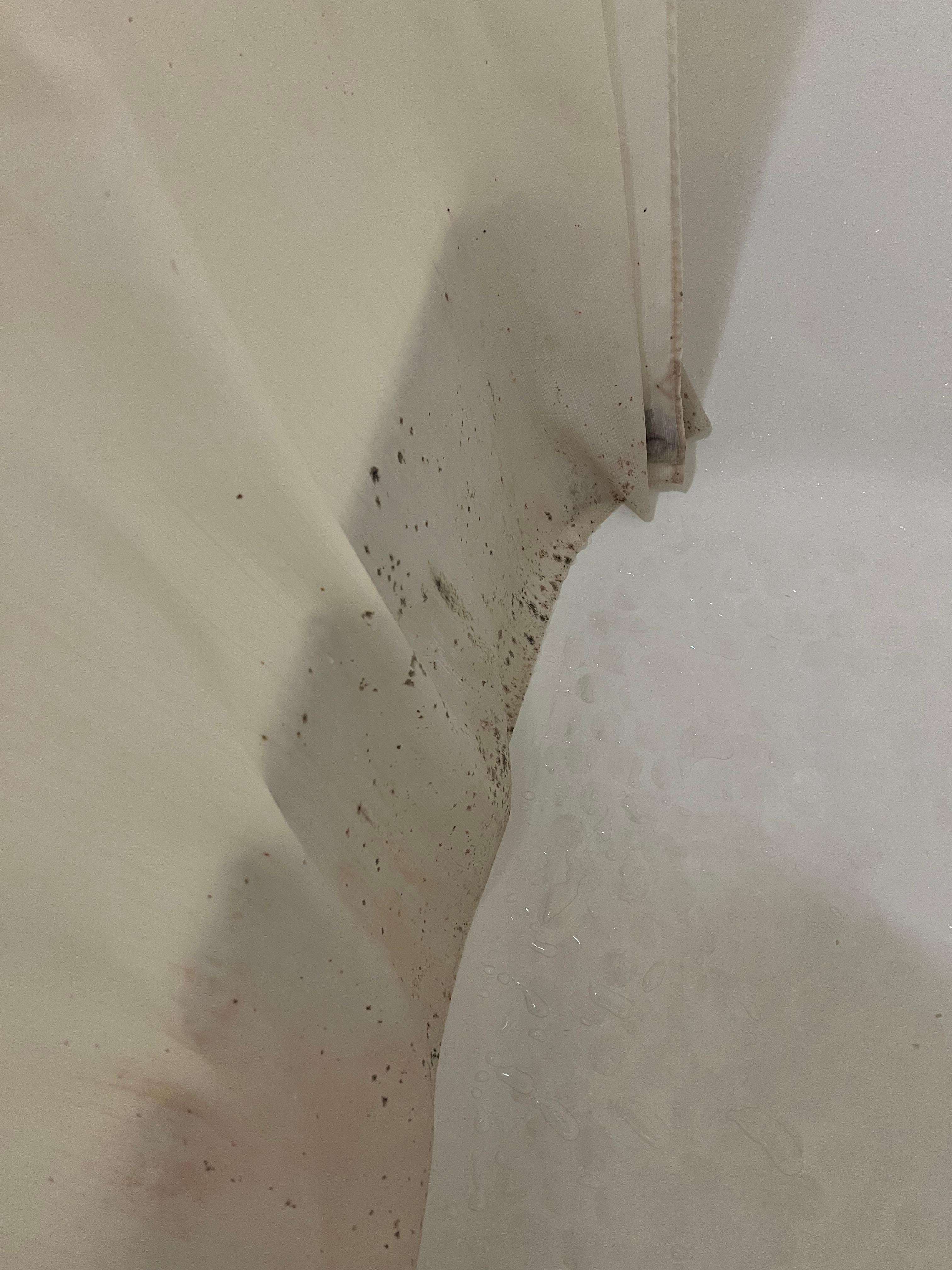 Mold all over shower curtain 