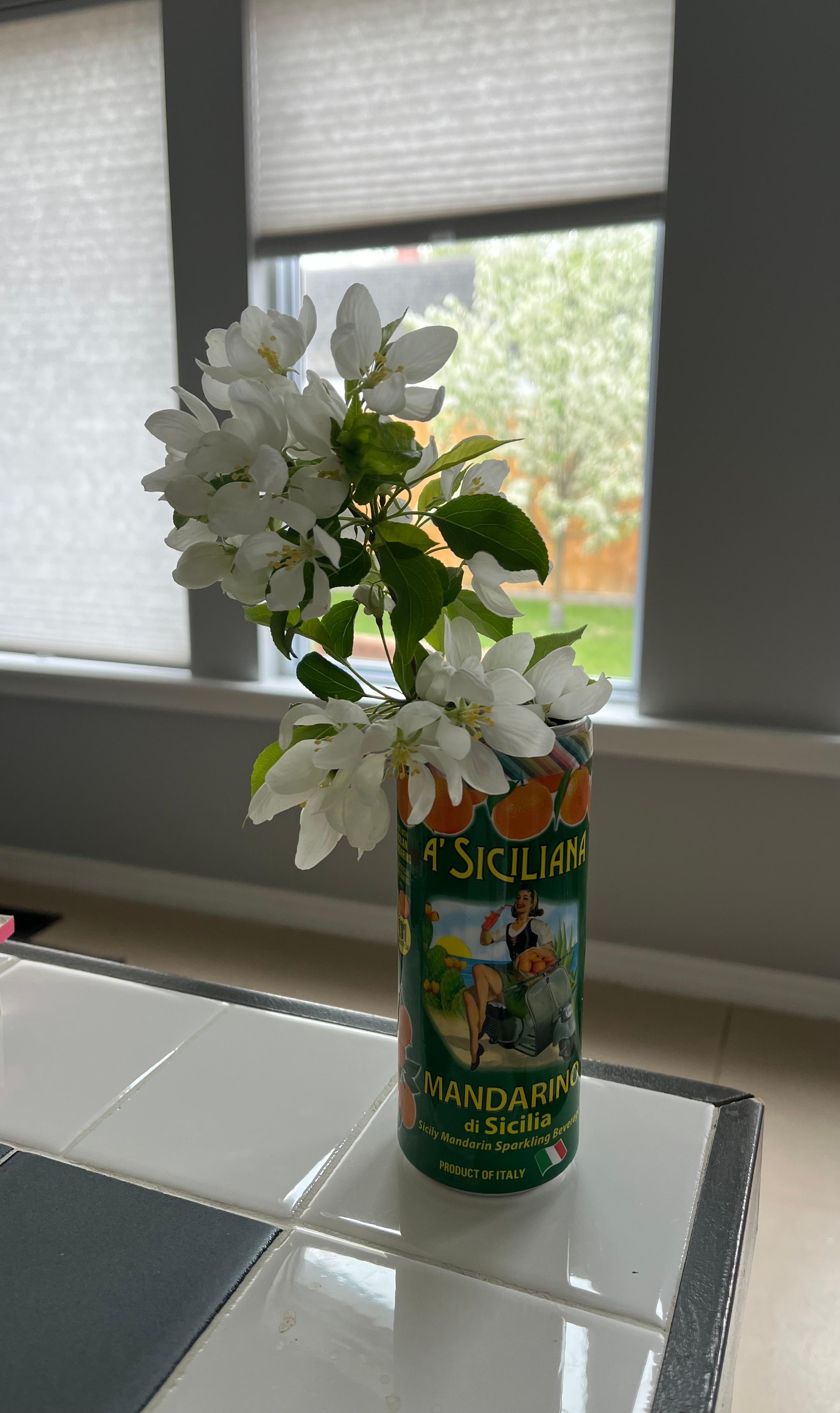 From the flowering tree outside this unit in the lovely outdoor space.