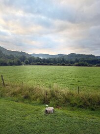 View from the front porch.
