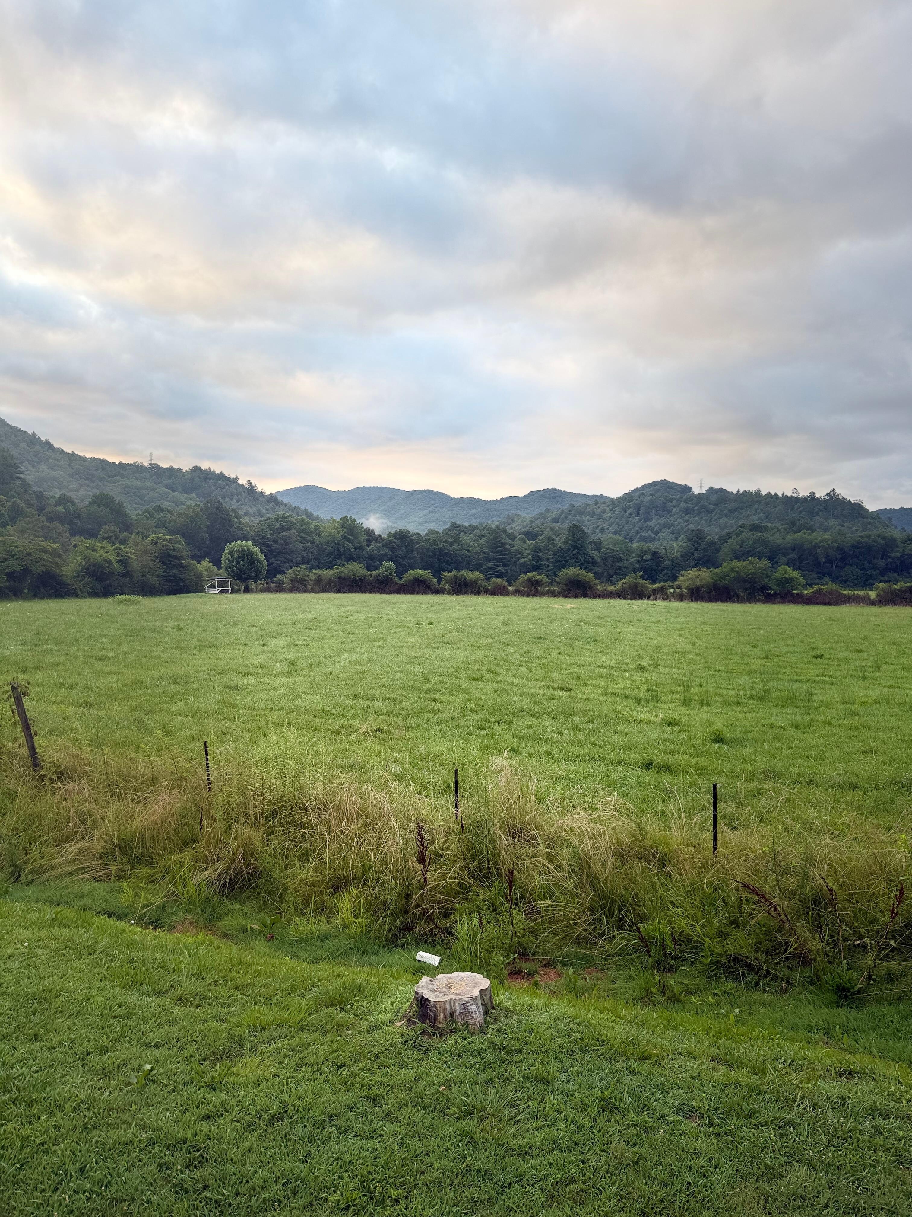 View from the front porch. 