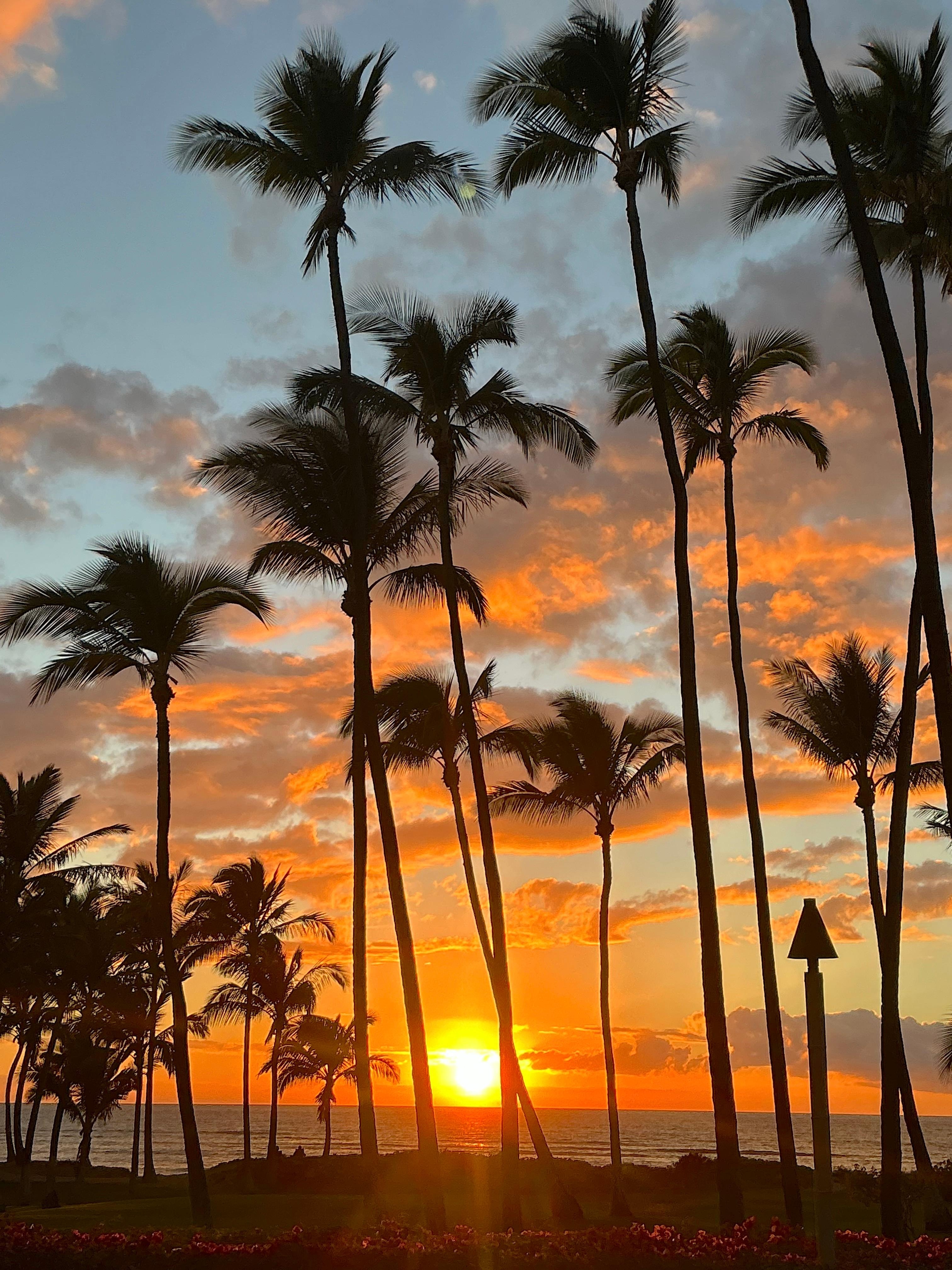 Doesn't get much better!