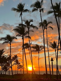 Doesn't get much better!