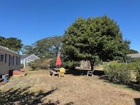 Simple yard with shade tree in back.