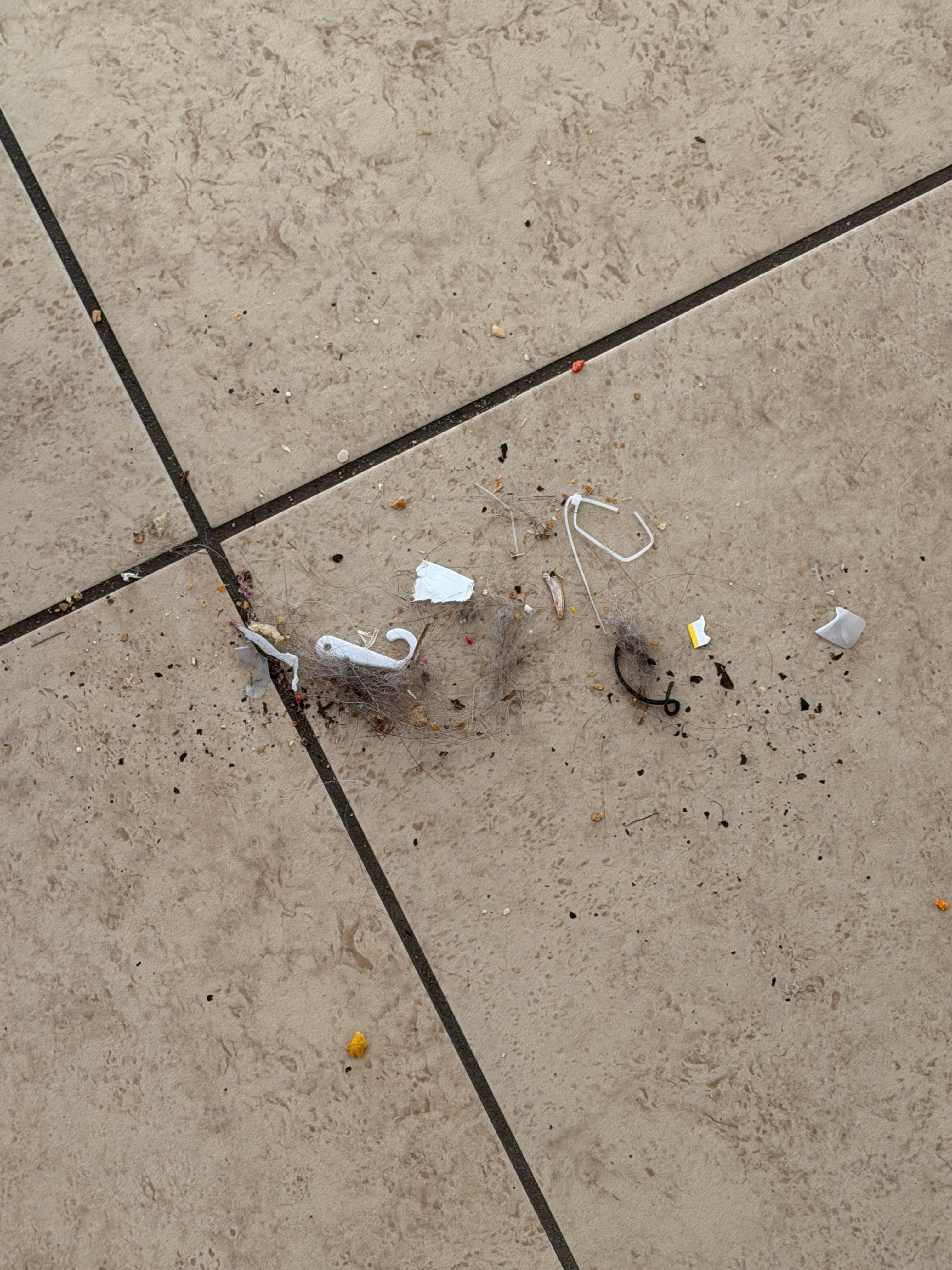 I really hope the owners can fix these issues because this was a really nice area.