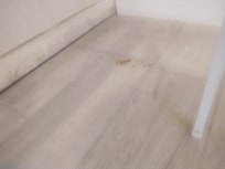 old cat ball hair also cat urine on the floor throughout the tile