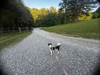 Lots of room to roam!
