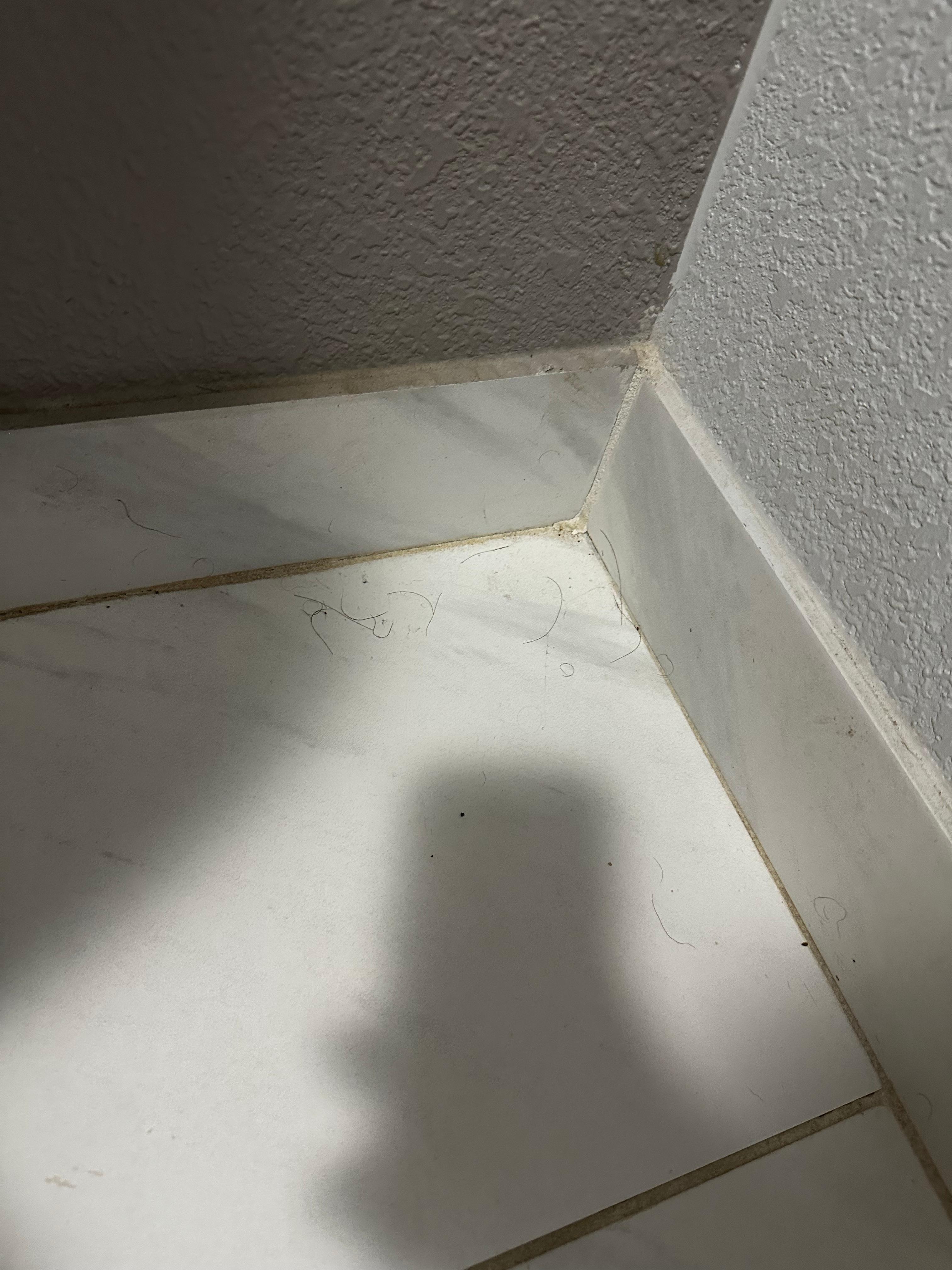 Bathroom floor was not clean and hairy all over. 