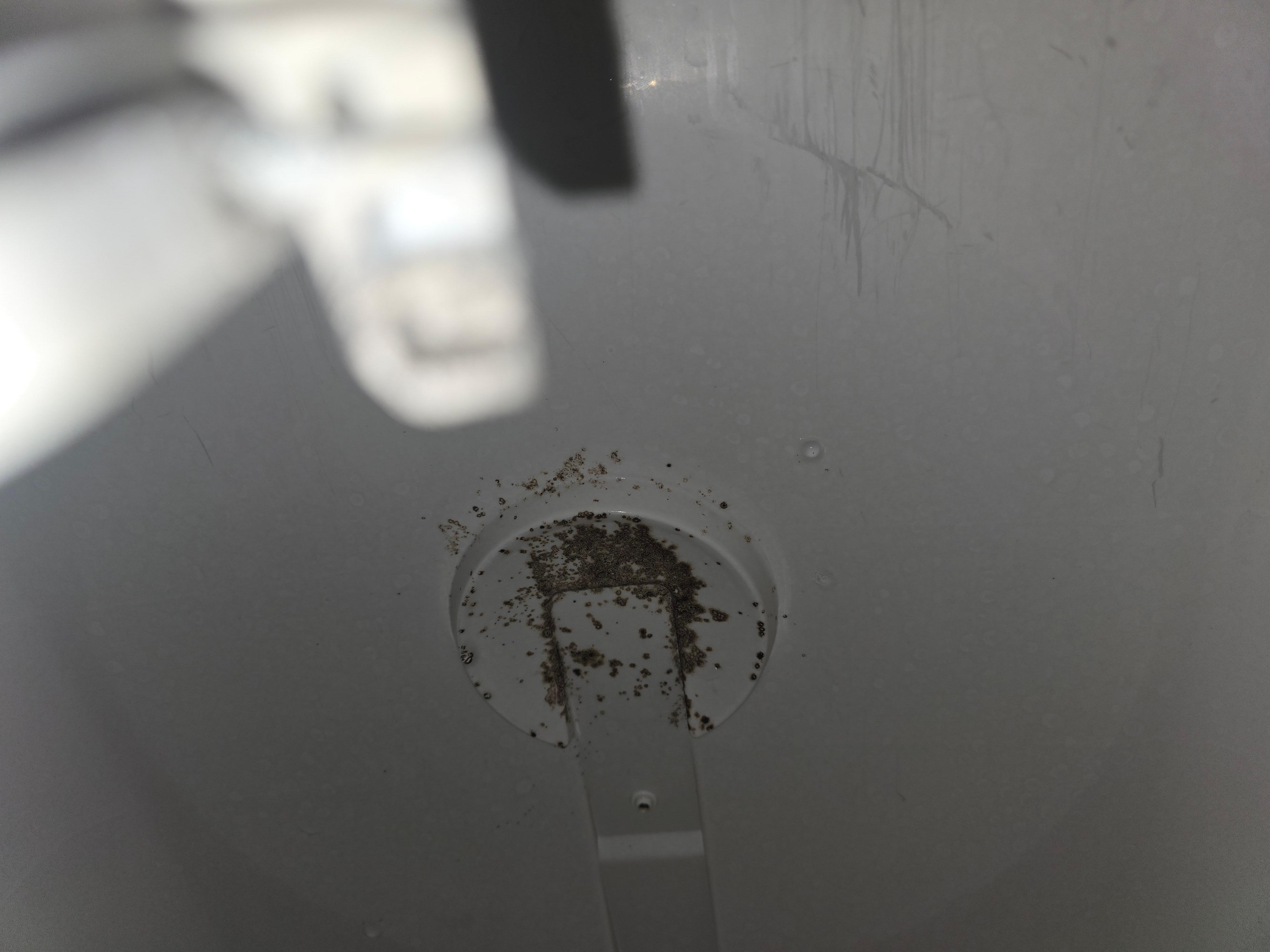 Pic of dishwasher mold