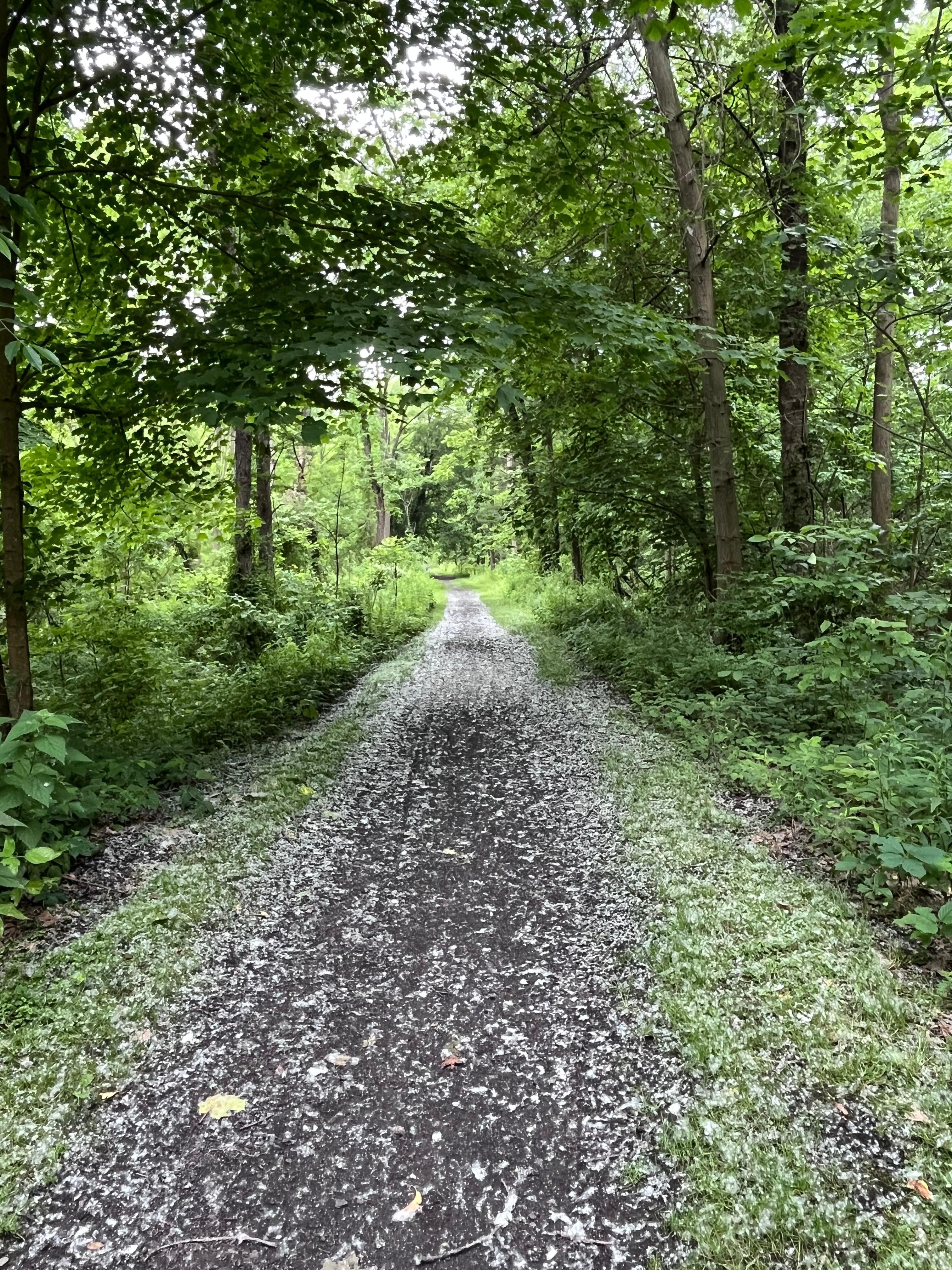Keuka Outlet trailhead