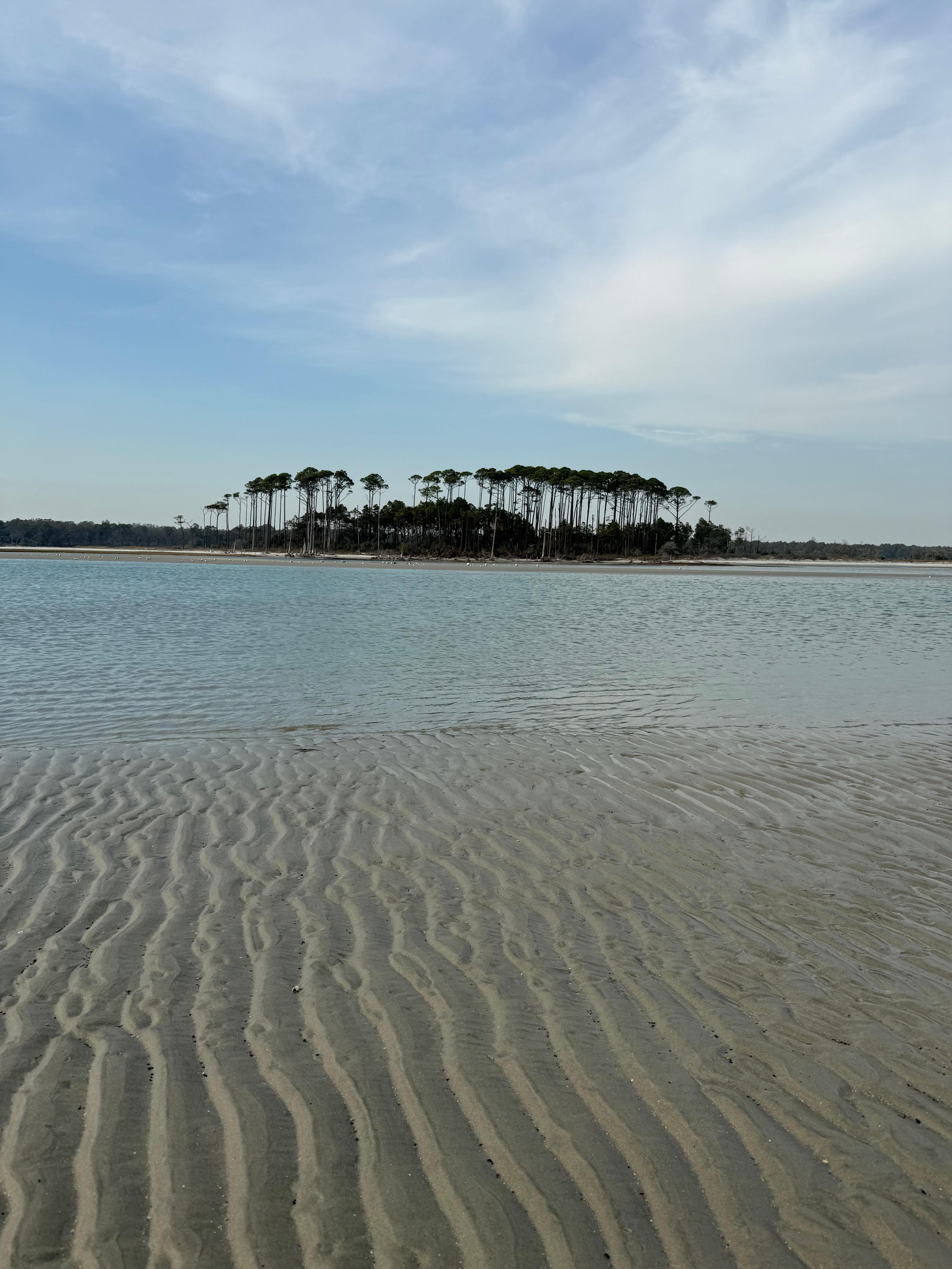 Low tide inlet walk! 