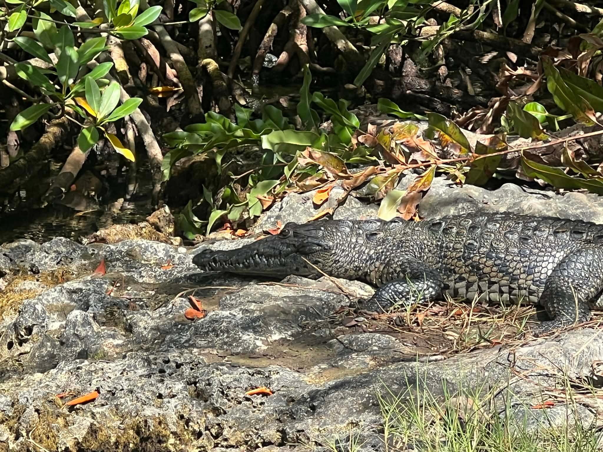 Got to see this on one of the expeditions