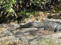 Got to see this on one of the expeditions
