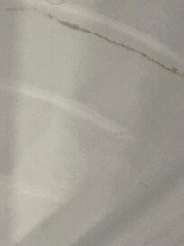 Broken floors of bathroom with mold