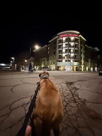 Dog friendly with a river trail right across the street.