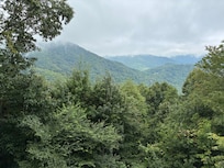 Looking off the back porch.
