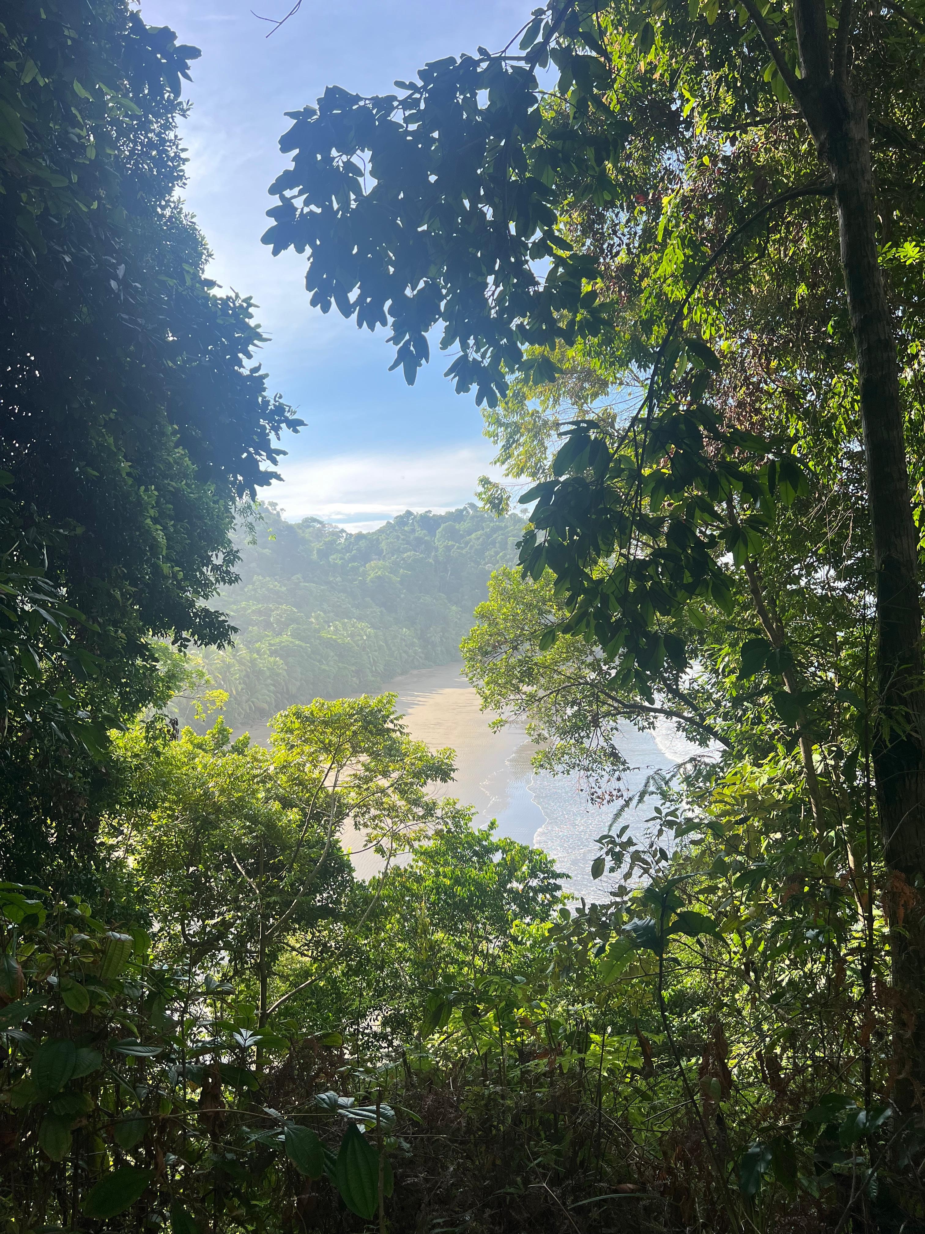 View of Playa Arco from hiking trail