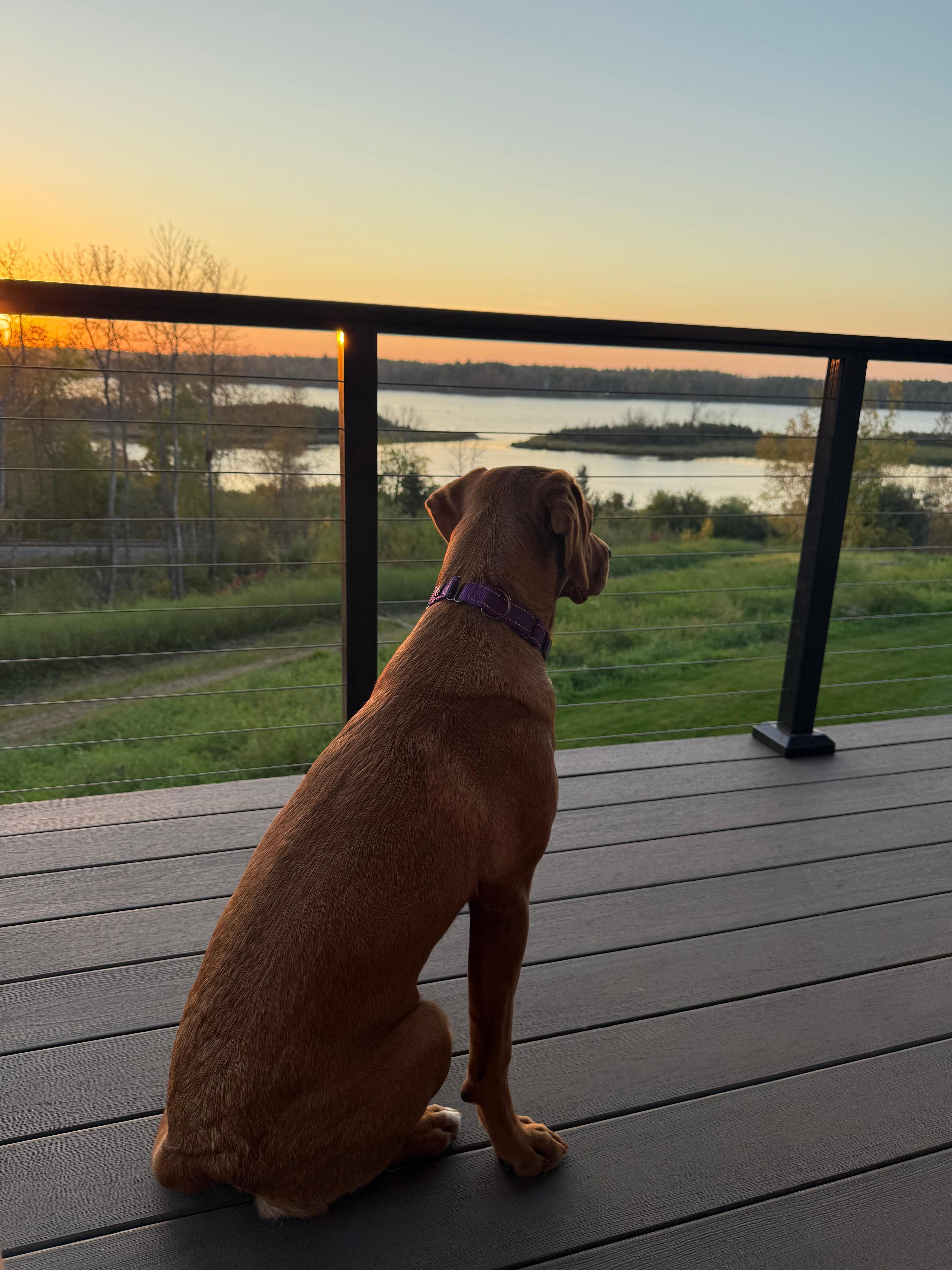 Enjoying the morning view 