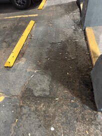 Endless cigarette butts outside our soor