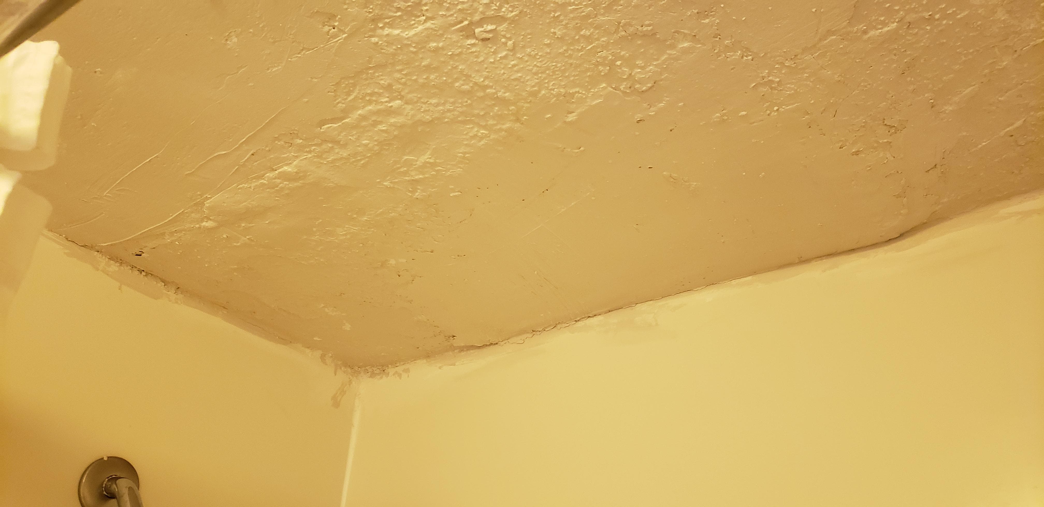 Ceiling in bathroom. It's not the picture, the lighting was yellow!