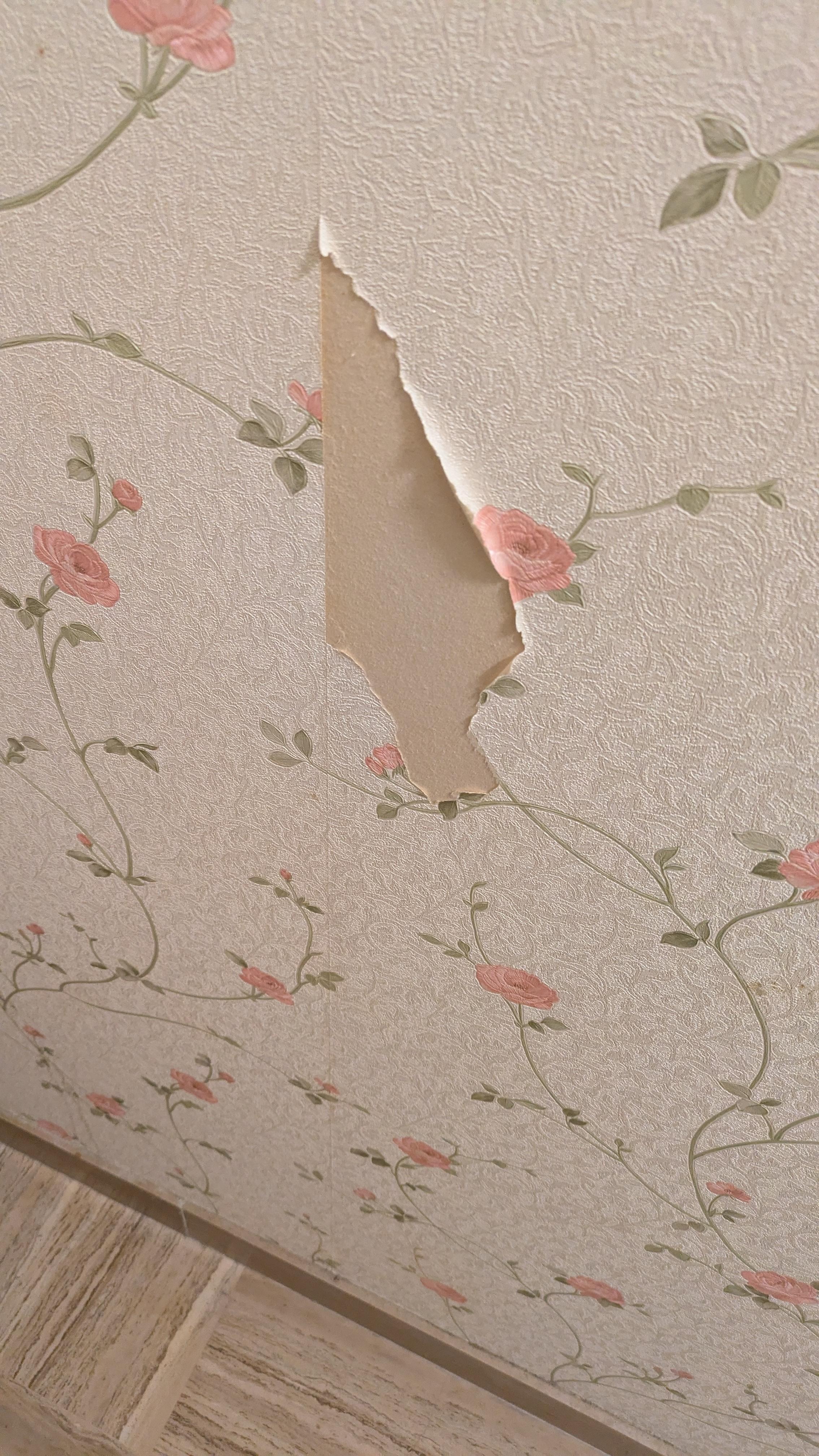 Ripped wallpaper (not the only area)