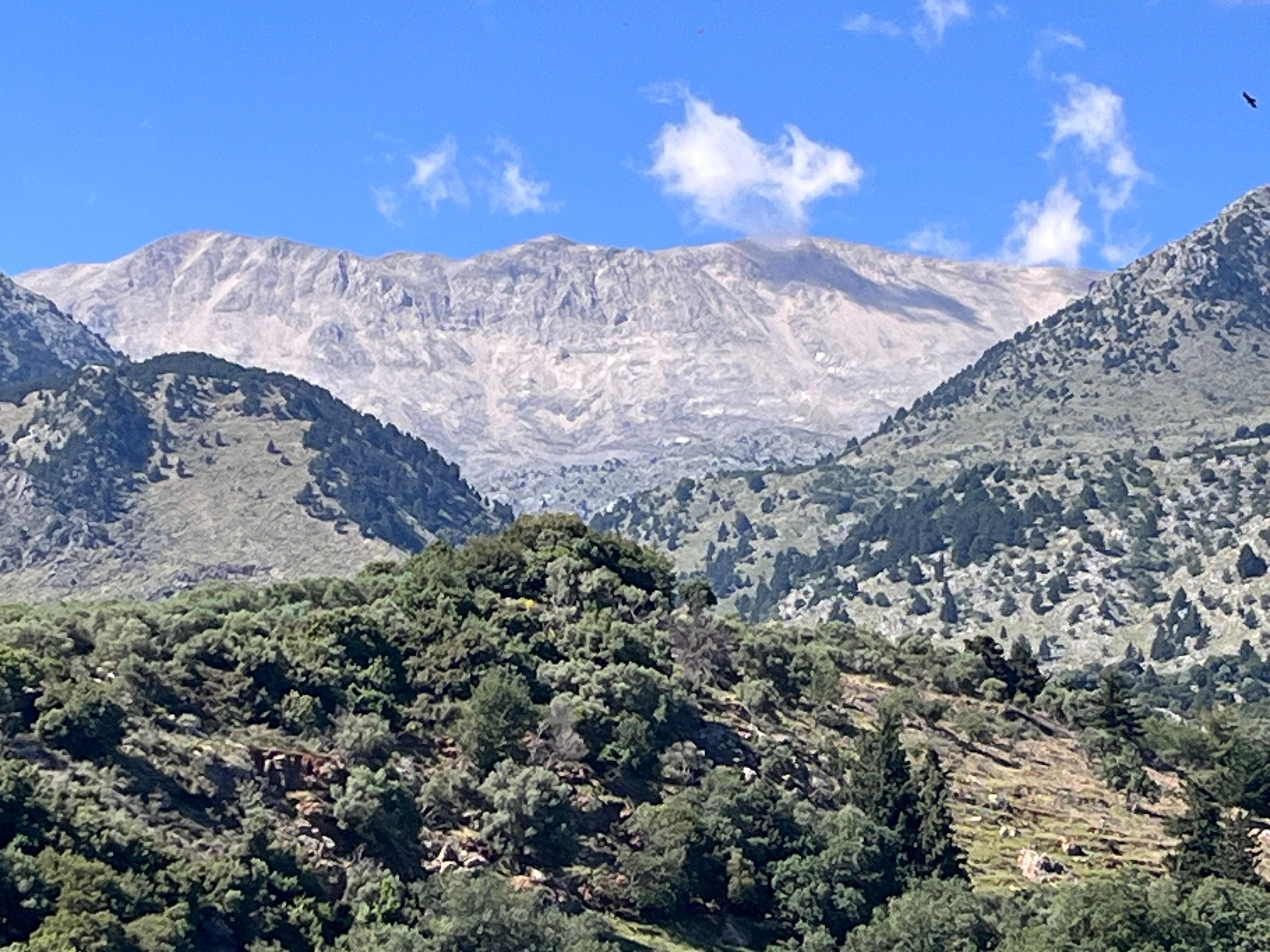 View from the terrace