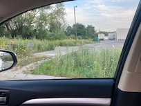 Area behind the hotel: overgrown grass and bushes; abandoned grocery carts