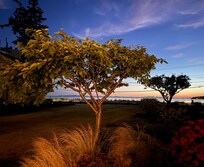 View at sunset from the patio