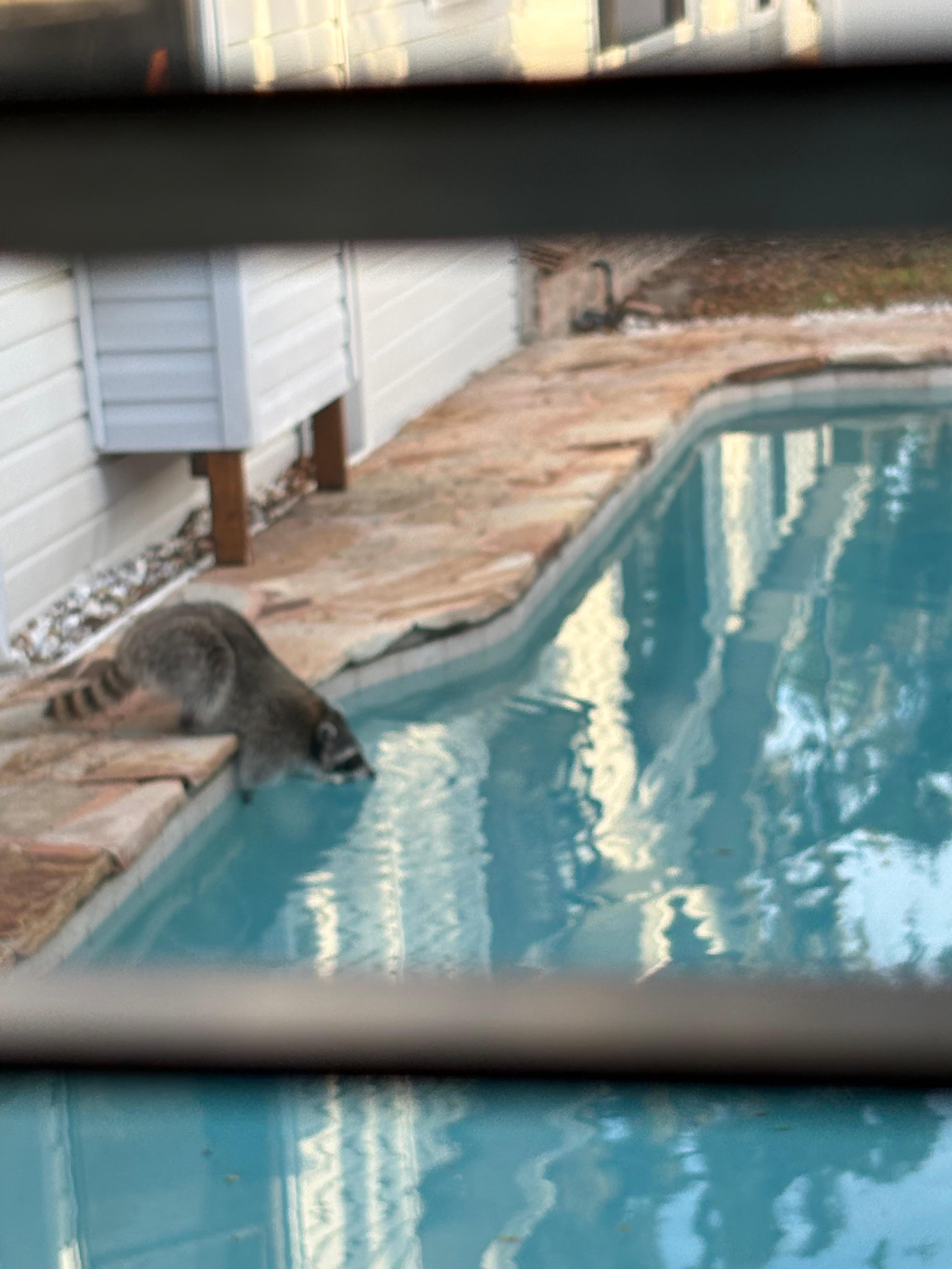 I knocked on the door and opened it he would not leave. 