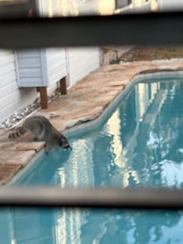 I knocked on the door and opened it he would not leave.