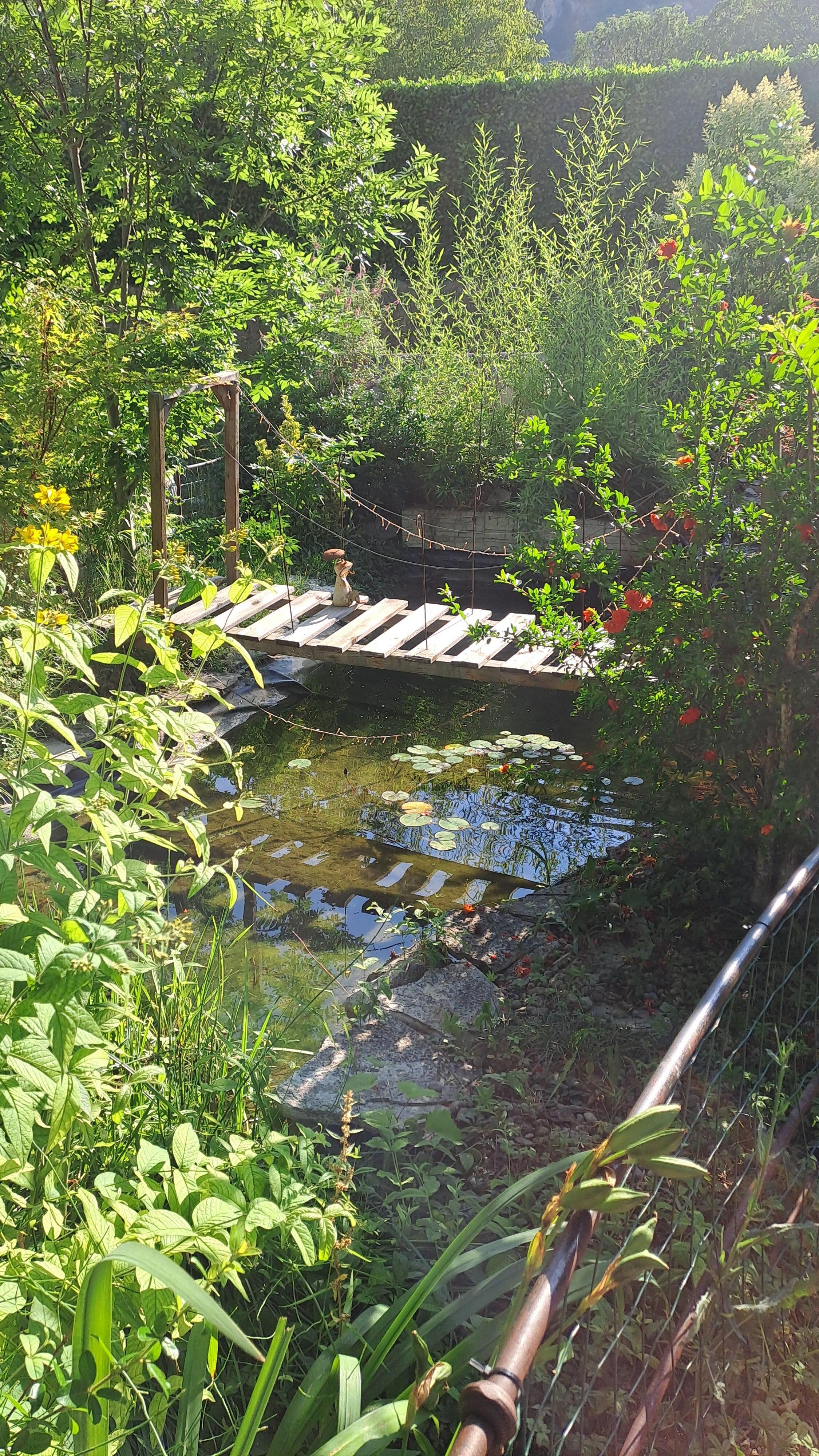 Giardino