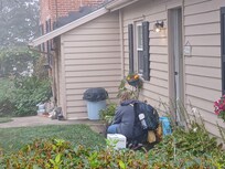 Visit from the cats