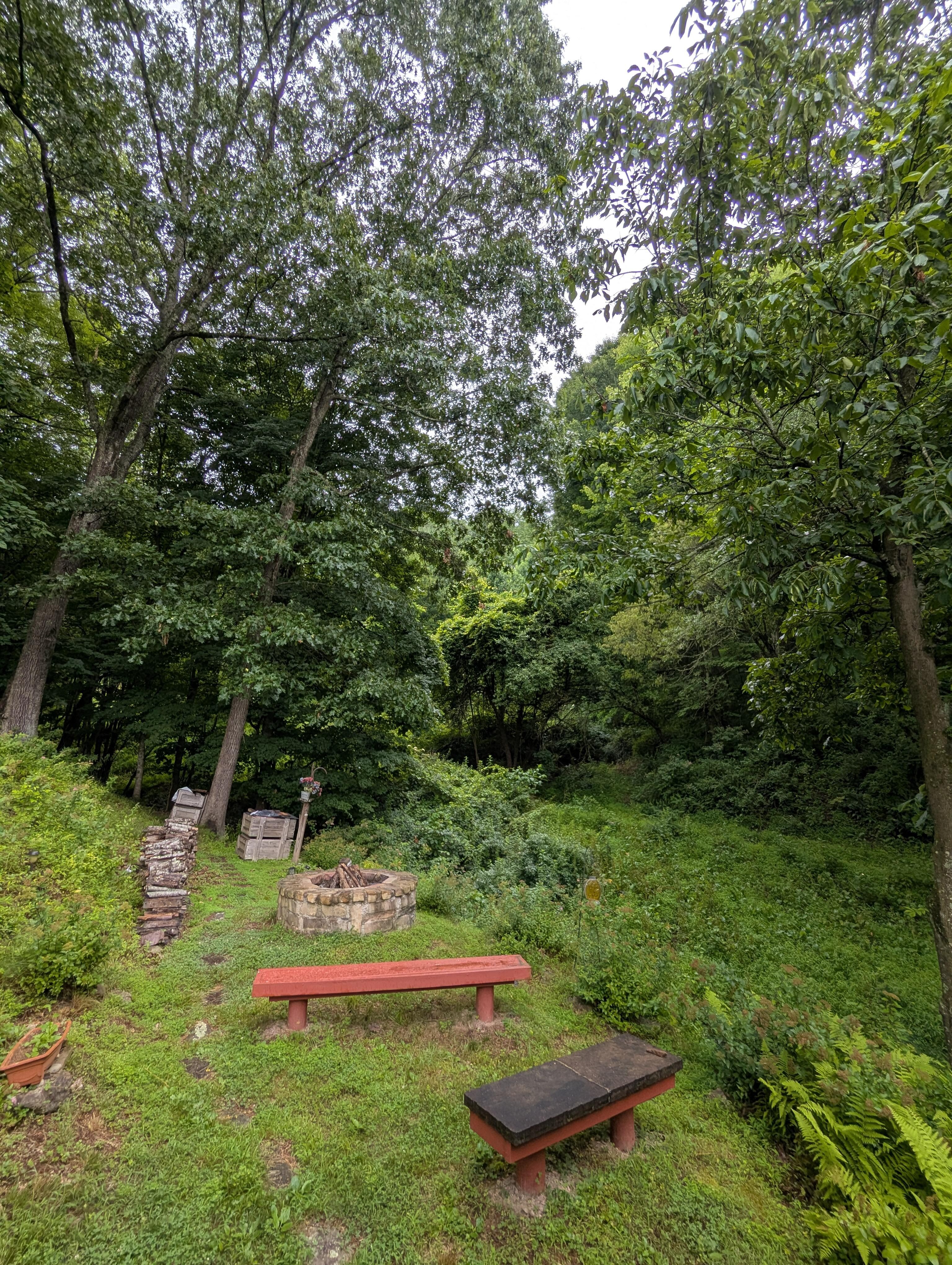 The back yard of the cabin. Very quiet and peaceful.