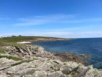 Ballade près de la maison