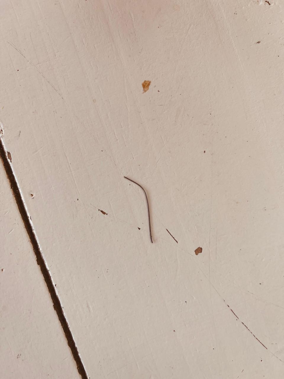 Metal piece find on food