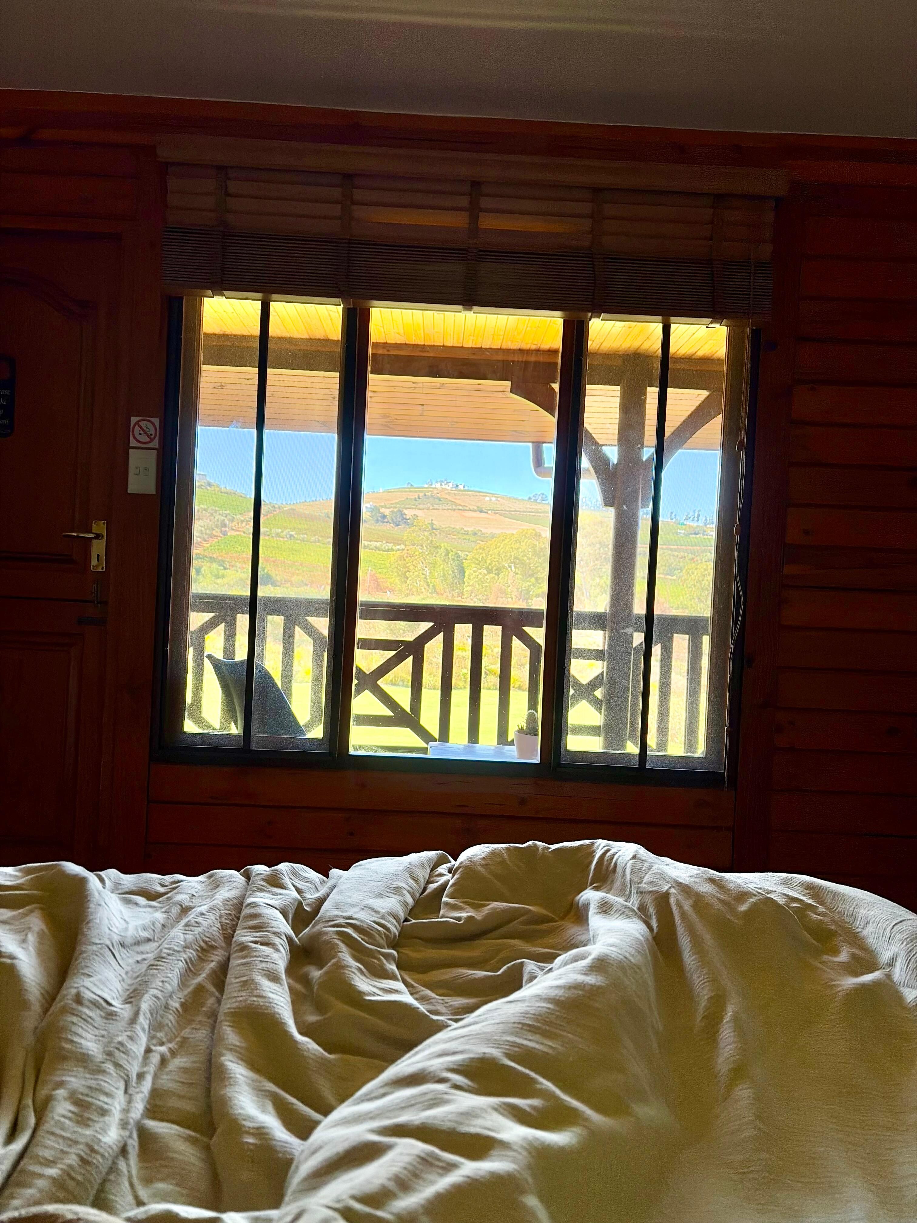 Just ones of two large windows from our bed.   