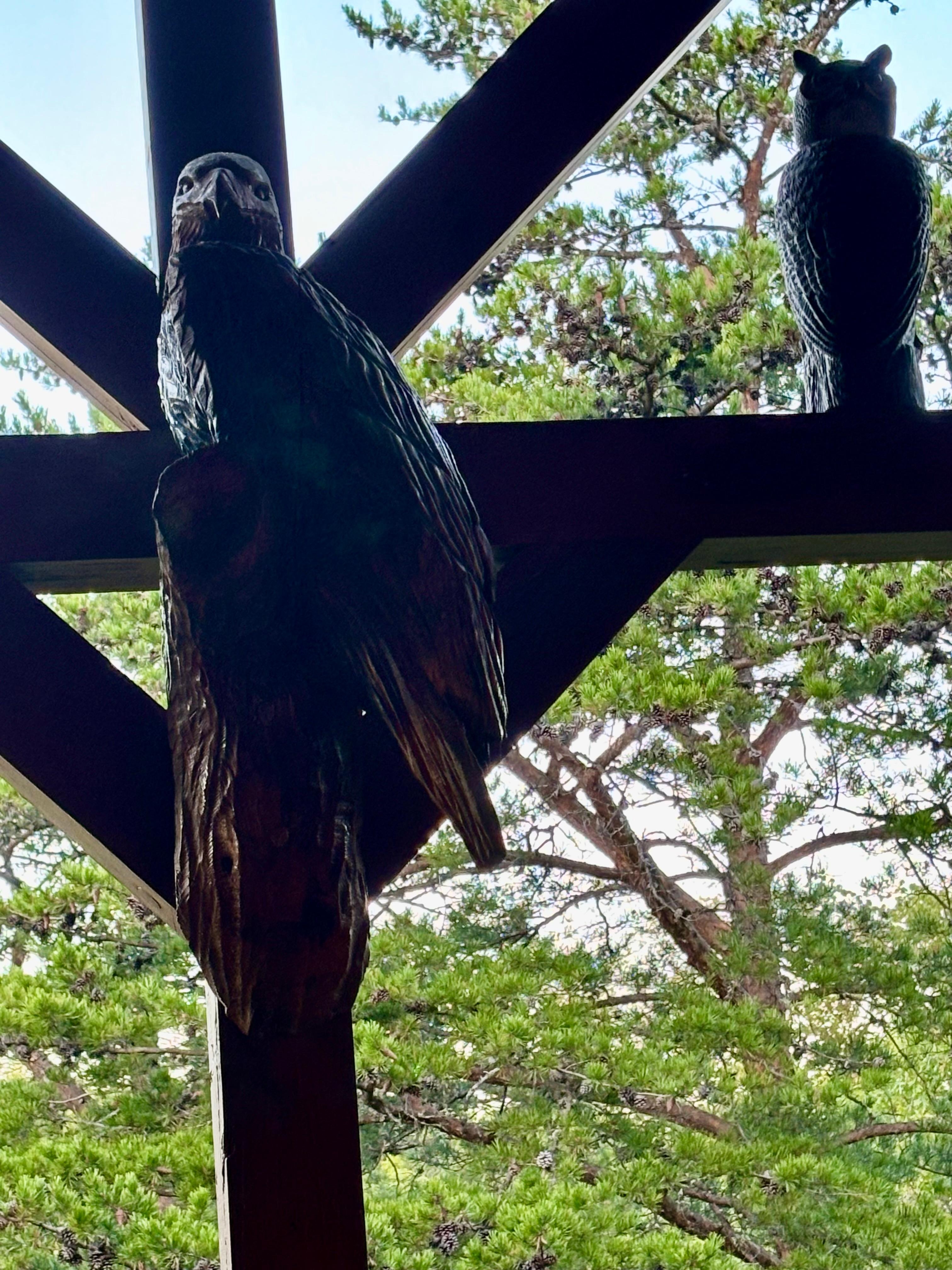 Cool carvings and scenery from second deck in front of fireplace