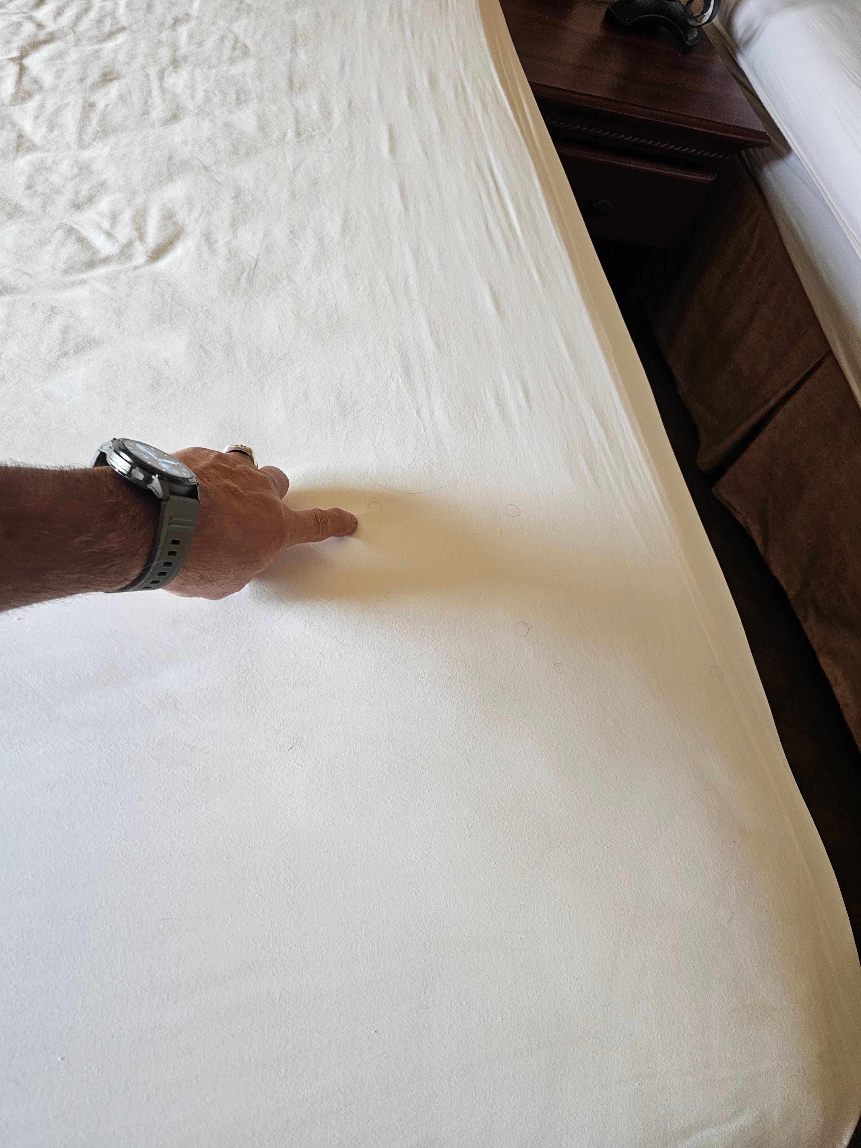 Zoom In - plenty to see