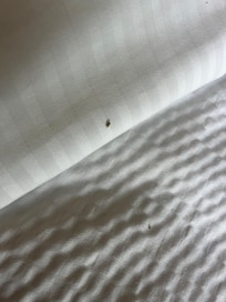Dirty sheets