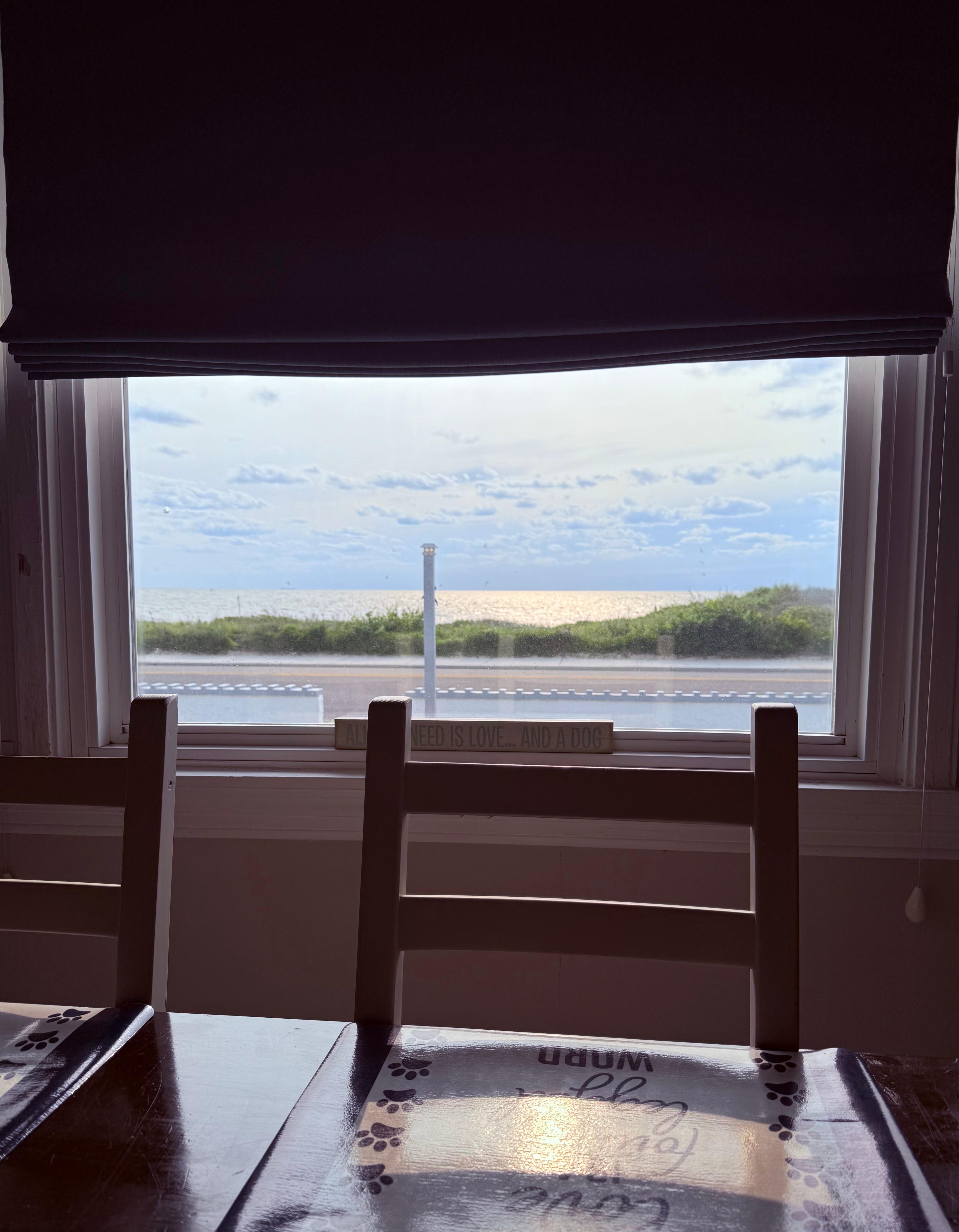 View from the large dining table 