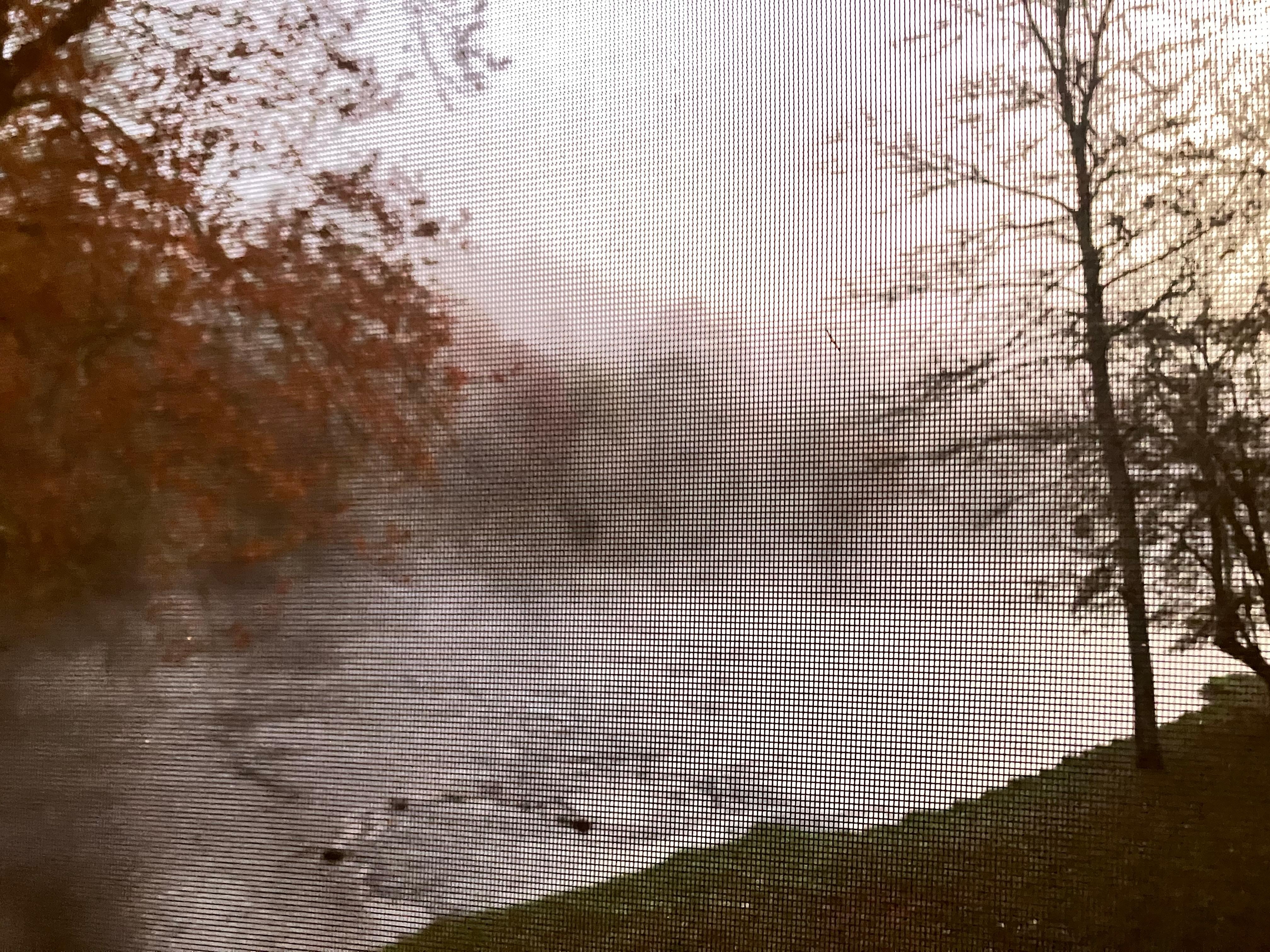 Early morning mist on the river 