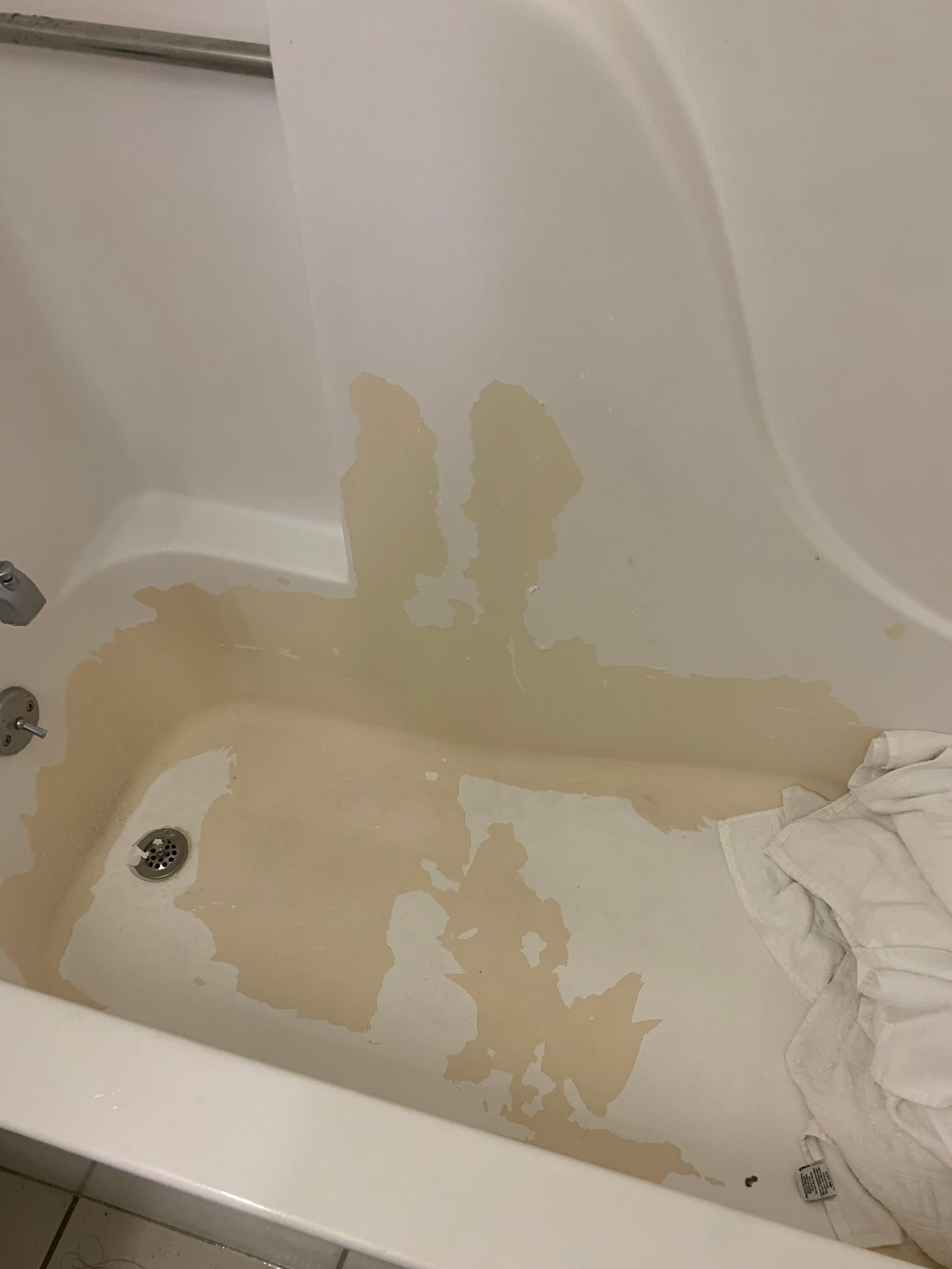The tub was disgusting with paint chips still falling off the wall.