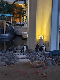 Penguins